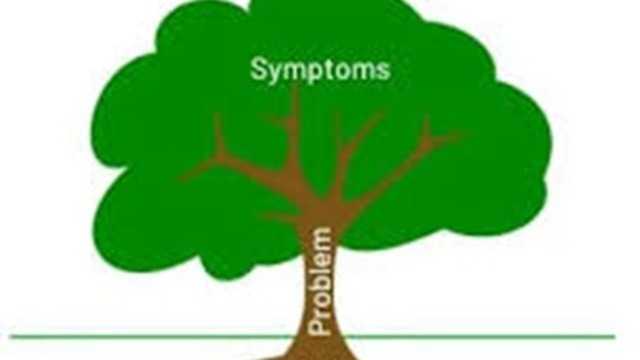 Boka Vad är Grundorsaken?