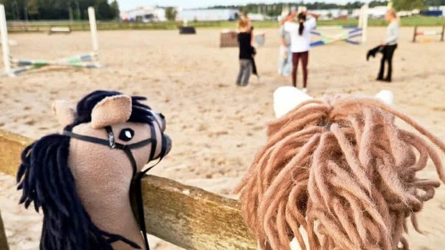 Boka Akademistallet Stallfritids Onsdag