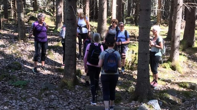 Boka Vandring med skön yoga 