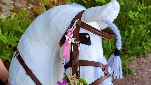 Boka Sommarläger med Stallfritids på Lurbo