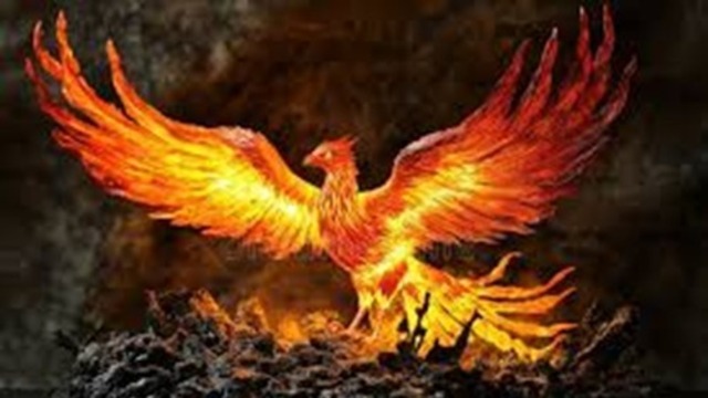 Boka Jag har upplevt helvetet och det är min styrka idag!