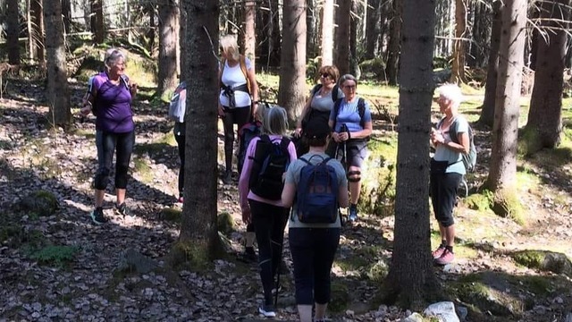 Boka Vandring innan yogan