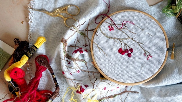 Boka Prova på fritt broderi med Alicia Sivertsson