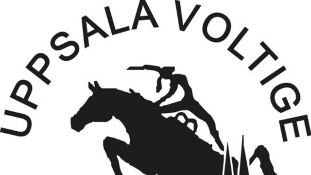 Boka Voltigedag med Stallfritids