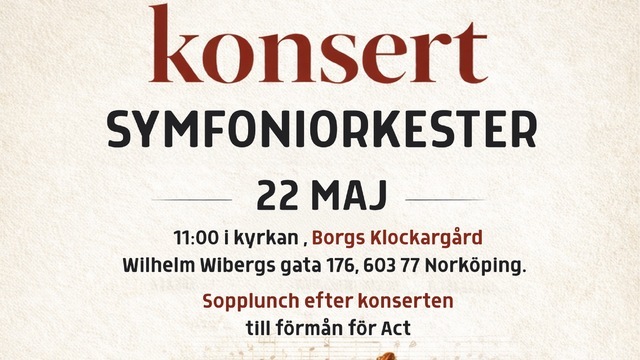 Boka Konsert Symfoniorkester