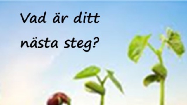 Boka Gratis Event via Zoom