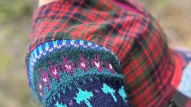 Boka Reknit stickärmaliv / livtröja Med Karin Sterner/Letstig