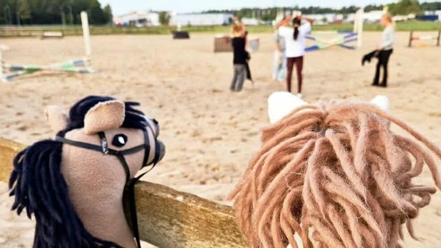 Boka Akademistallet Stallfritids Fredag