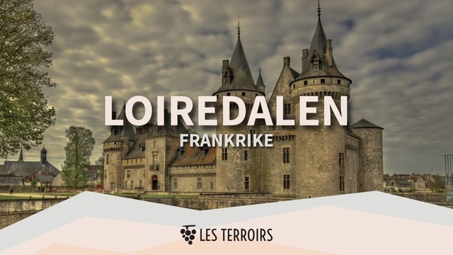 Boka Vinprovning: Loiredalen