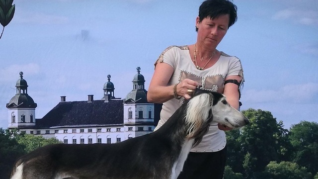 Boka Ringträning  (RING1x228)