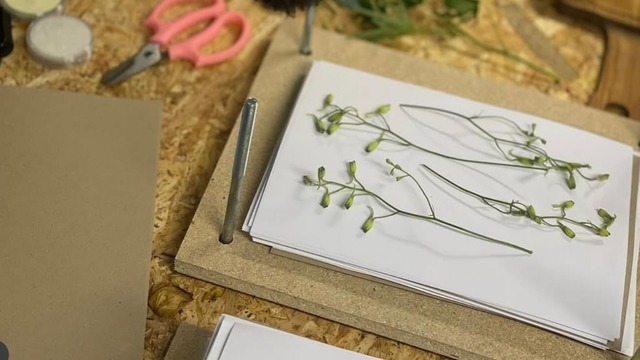 Boka Lev med blommor – Skapa med pressade blommor