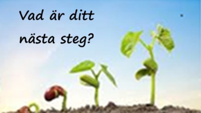 Boka Gratis Event via Zoom