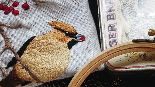 Boka Kortkurs i fritt broderi med tema fåglar