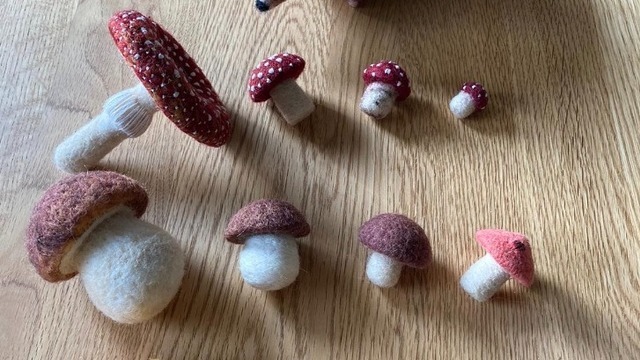 Boka  Needle felting with Ran D