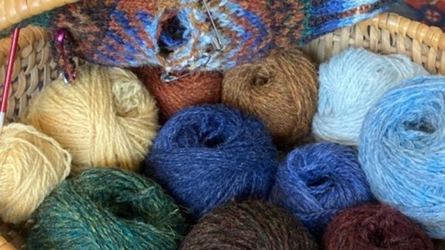 Boka Restgarnssafari med Johanna Wallin