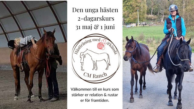 Boka Den Unga hästen Unghäst kurs på CM Ranch