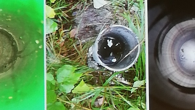 Boka Avloppskväll för entreprenörer