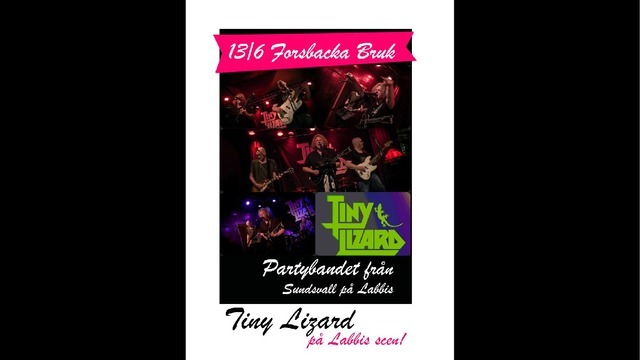 Boka Livéspelning med Tiny Lizard