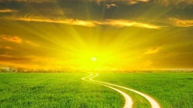 Boka Följ Din Väg och Finn Ditt Syfte