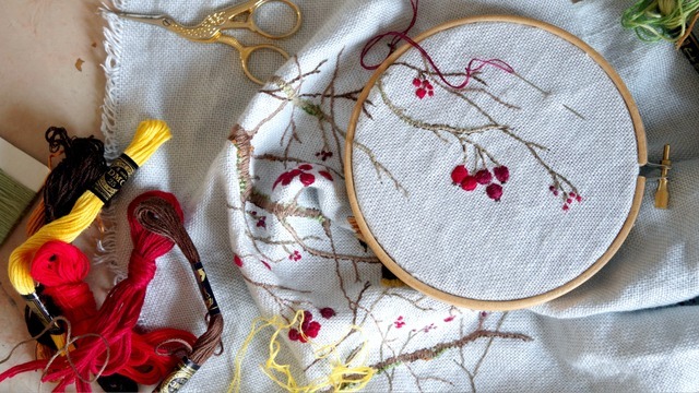 Boka Prova på fritt broderi med Alicia Sivertsson