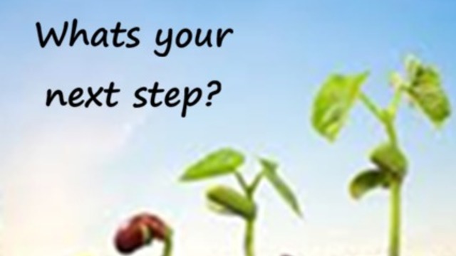 Boka Free Event at Zoom