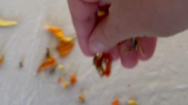 Boka Hapa Zome – Flower Pounding Workshop