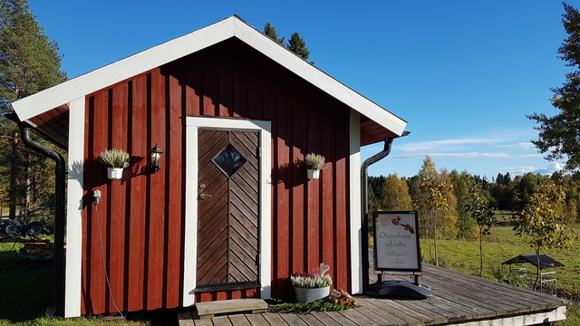 Boka Ölsjöns kropp och hälsa