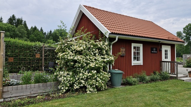 Boka Bellas hälsostuga