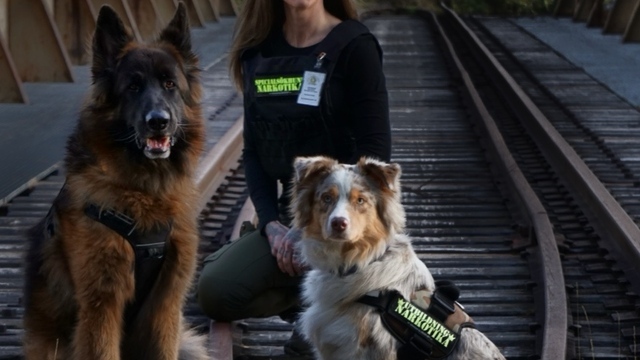 Boka Vanity working dog’s - Dalarna 
