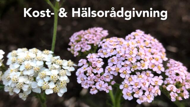Boka Naturpraktiken Alvaret