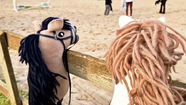 Boka Stallfritids Uppland