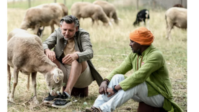 Boka MindfullnessWithSheep