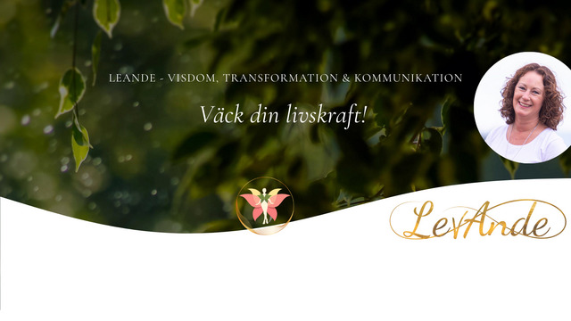 Boka LevAnde - Visdom, transformation & kommunikation