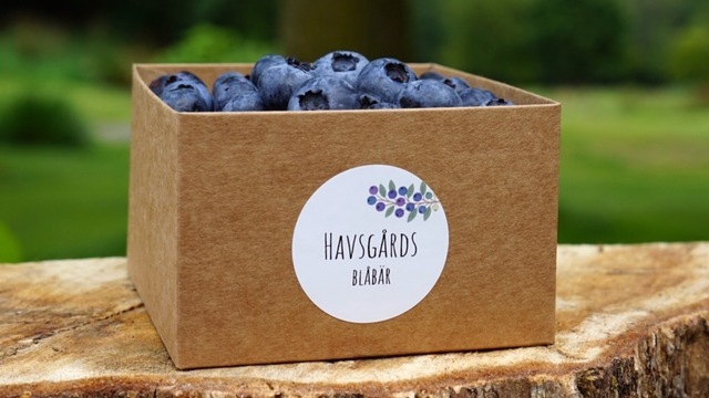 Boka Havsgårds