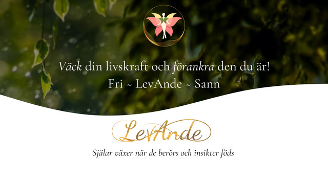 Boka LevAnde - Visdom, transformation & kommunikation