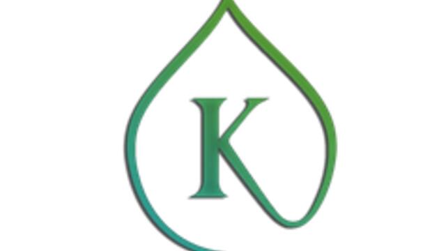 Boka Kinesiologikällan