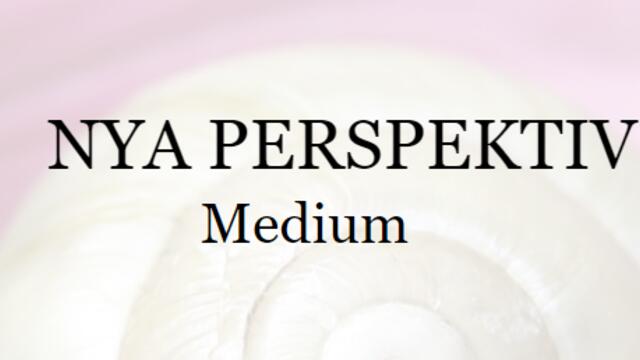 Boka Nya perspektiv- Sanna Hultin