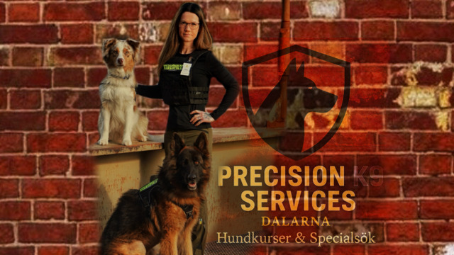 Boka Precision K9 services - Dalarna 